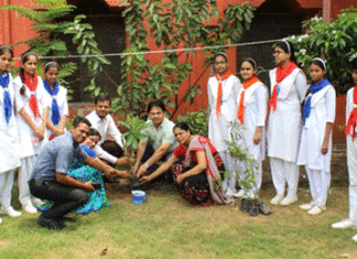 नेशन पब्लिक स्कूल में मनाया गया वन महोत्सव, बच्चों ने ली पौधे संरक्षण की शपथ Aurangabad News