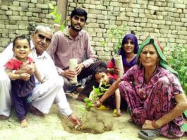 Tree Plantation