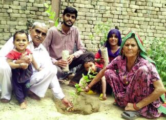 Tree Plantation