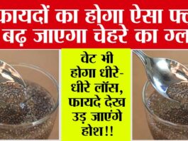 Chia Seed