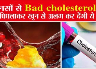 Cholesterol Control