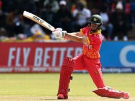 Cricket World Cup 2023
