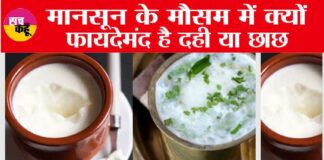 Curd Vs ButterMilk