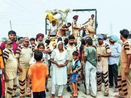 Dera Sacha Sauda