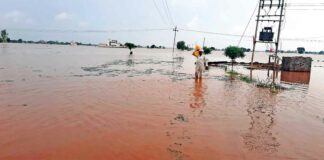 Haryana Flood