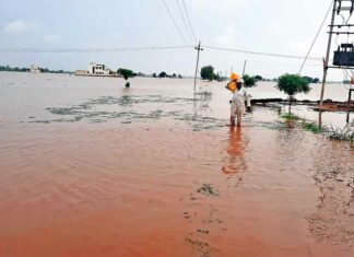 Haryana Flood