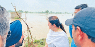 Fazilka News