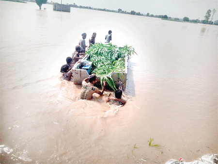 Flood Relief