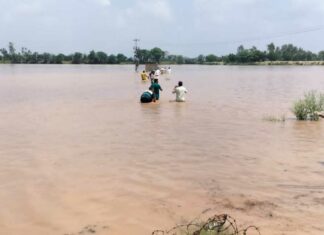 Ghaggar River