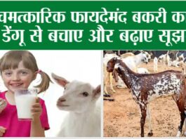 Goat Milk