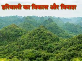 Greenery: हरियाली का विकास और विनाश Greenery