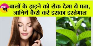 Hair Fall Home Remedy