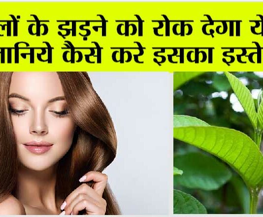 Hair Fall Home Remedy