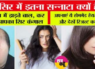 Hair Ma For Hairfall: बरसात में झड़ते बाल, कर न दे आपका सिर कंगाल, अपनाएं ये होममेड हेयर मास्क और देखें रिजल्ट कमाल Hair Mask For Hairfall