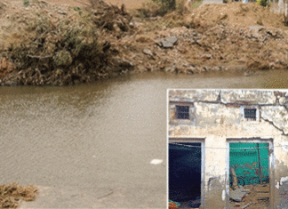 Haryana Flood