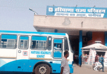 Haryana Roadways News
