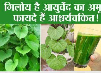 Health Benefits Of Giloy