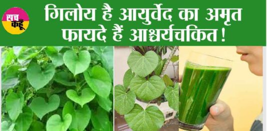 Health Benefits Of Giloy