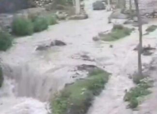 Himachal Flood