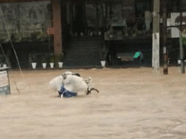 Sirsa Rain
