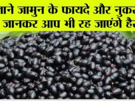 Jamun Benefits And Side Effects