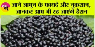 Jamun Benefits And Side Effects