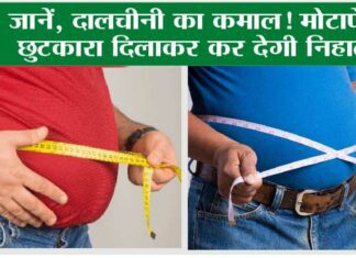 LOSE FAT: बात है कड़वी, पर खतरनाक है मोटी तोंद की चर्बी! LOSE FAT