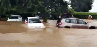 Haryana, Punjab Flood