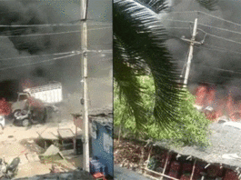 विश्व हिंदू परिषद की ब्रजमंडल यात्रा पर उग्र हुई भीड़, पथराव कर 40 गाड़ियां की स्वाहा Nuh News