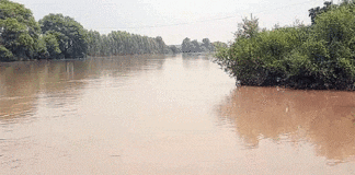 Haryana Flood