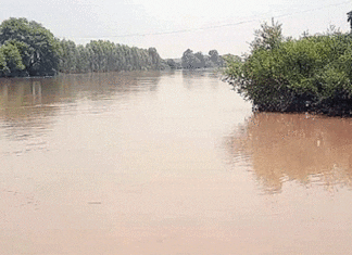 Haryana Flood