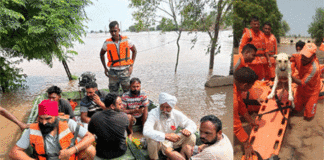 Punjab Flood