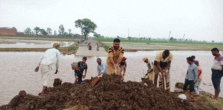 Punjab Floods