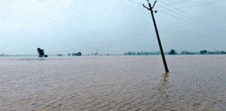 Punjab Floods