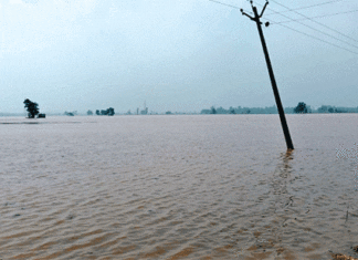 Punjab Floods