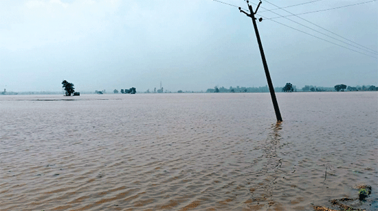 Punjab Floods