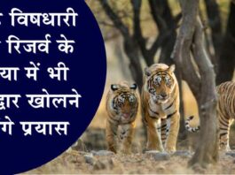 Ramgarh Vishdhari Tiger Reserve