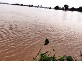 Sirsa Flood News