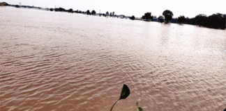Sirsa Flood News