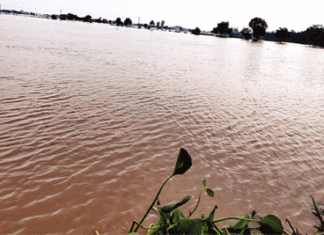 Sirsa Flood News