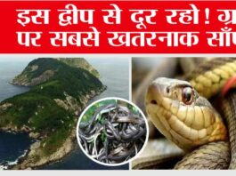 Snake Island