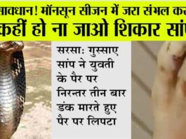 Cobra Snake Bite: बहुत ही बड़ी घटना, जहरीला कोबरा के काटने से 19 वर्षीय युवती की हुई मौत के बाद कैसे पकड़ा कोबरा? Snake bite