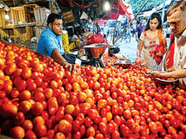 Tomato Price Hike : टमाटर के बढ़ते दाम और गड़बड़ाता मौसम Tomato Price Hike