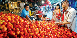 Tomato Price Hike