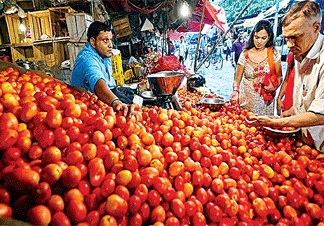 Tomato Price Hike