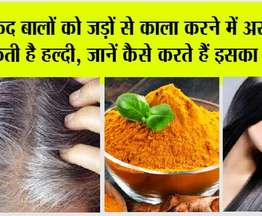 White Hair: सफेद बालों को जड़ों से काला करने में असर दिखा सकती है हल्दी, जानें कैसे करते हैं इसका इस्तेमाल White Hair