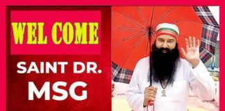 Saint Dr. MSG