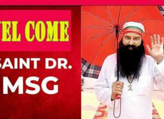 Saint Dr. MSG