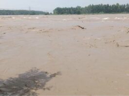 Kairana