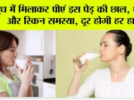 Arjuna Bark Benefits